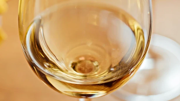 Celebrations at Casa Lótus